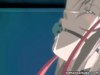 Mix of videos by hentai niches